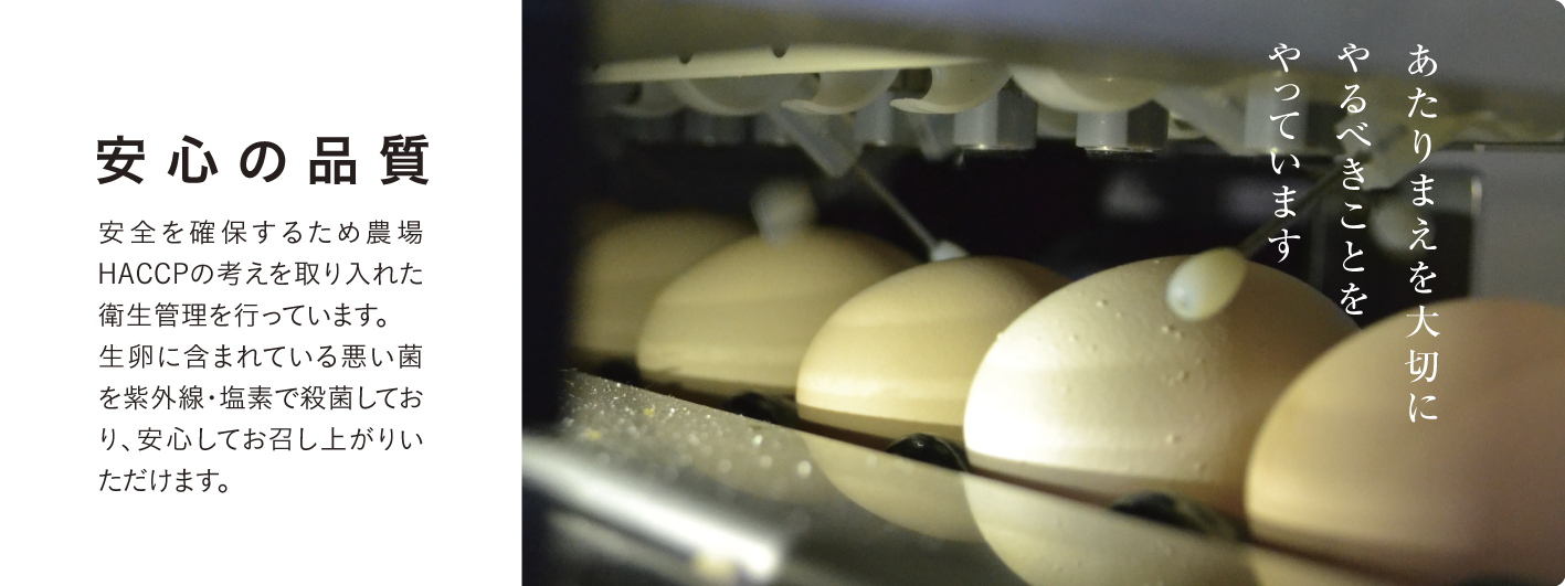 安心の品質。HACCPの手法を取り入れた衛生管理を行っています。